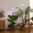 thumbnail image 4 of Luz de cultivo de plantas, luz de crecimiento LED yadoker de espectro completo para plantas de interior, altura ajustable, temporizador automático, voltaje seguro bajo de 5 V, idea para luz de plantas, 4 of 4