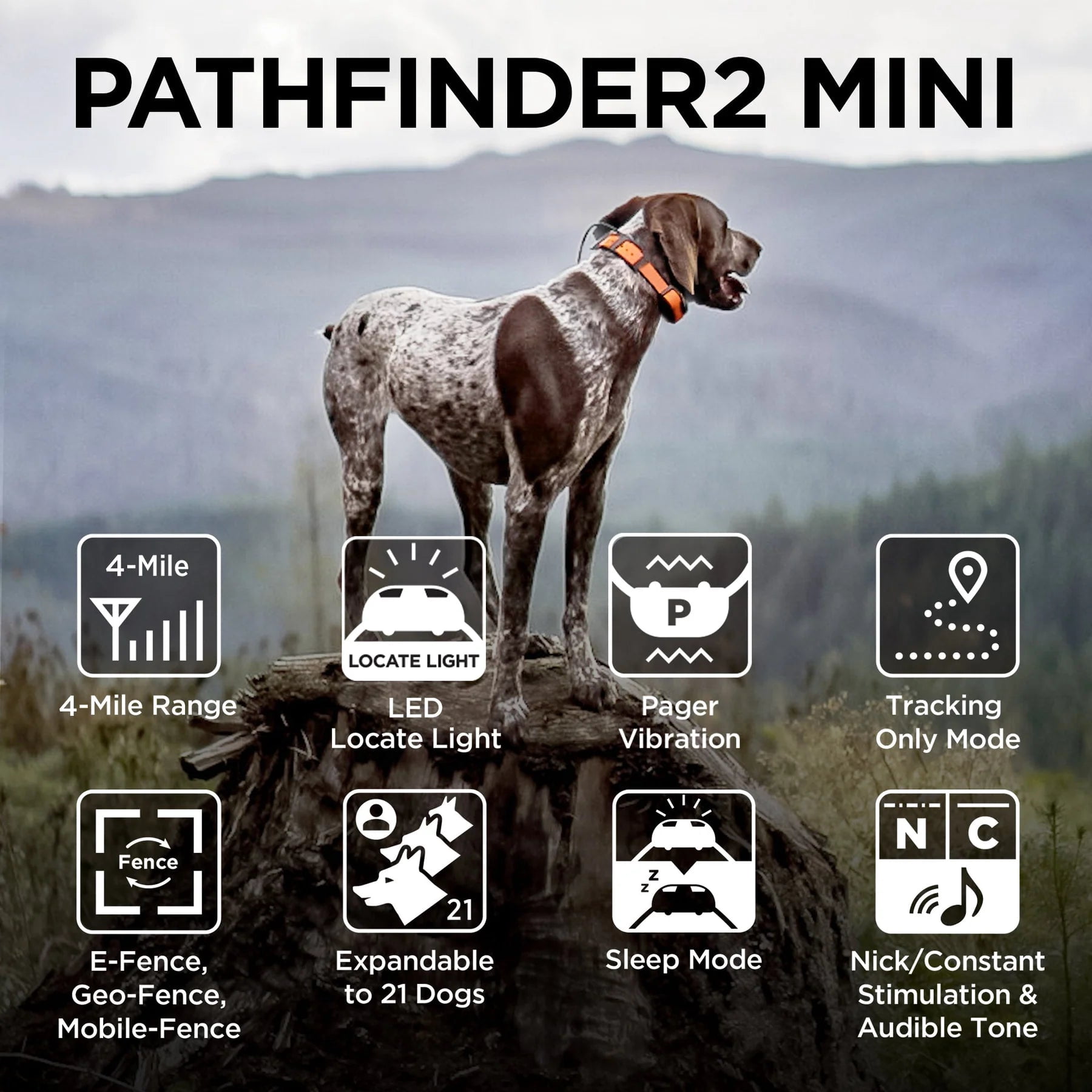 Dogtra PF2 MINI RX GREEN Mini Additional GPS Dog Tracking & Dog Training Collar, Green