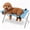 A2, variant on Bath for Dogs, Foldable 8-Hole Mesh Grooming Hammock with Steel Stand, Breathable Quick-Dry Sling, Freestanding Grooming Station for Small Medium Pets Bathing Nail Trimming
