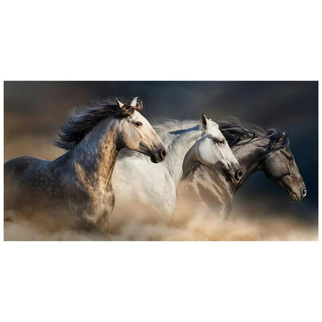 Pulgadas Tres Caballos Corriendo Pintura Al Óleo Decoración Del Hogar Lienzo Mural Lienzo Pintura Arte De La Pared Imagen Para La Sala De Estar Decoración Del Hogar 40 * 80 Cm / 5.72 * 31.44 Cateissary HA018162-00