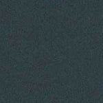 Blue Spruce