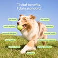 thumbnail image 3 of Native Pet The Daily Multivitamin for Dogs, All-in-One Supplement for Hip & Joint, Skin & Coat, and Digestive Health, 14oz, 3 of 10