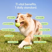 Native Pet The Daily Dog Multivitamin Powder, Probiotics & Glucosamine, 7 oz