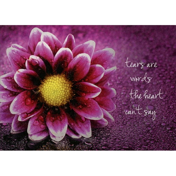 Tree-Free Greetings Tears Are Words Sympathy Card