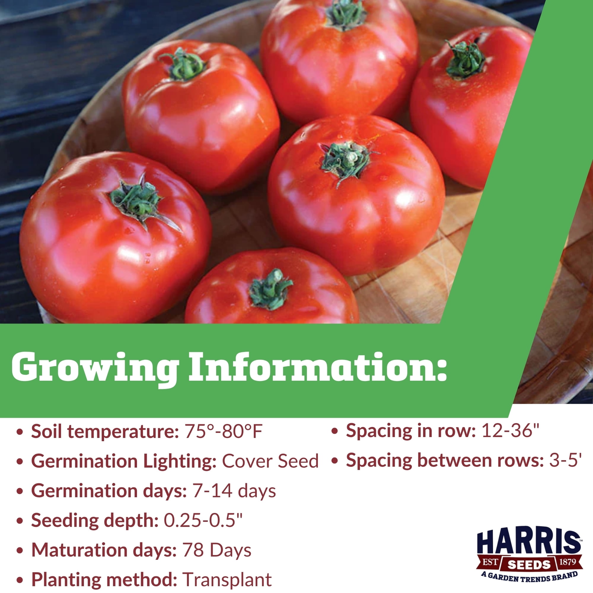 Harris Seeds Mountain Fresh Plus F1 Tomato, Determinate Red Slicer Variety, Treated, 500 Count