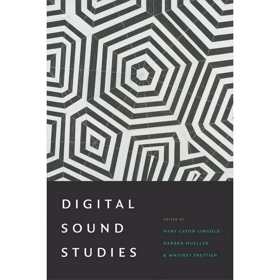 Digital Sound Studies, (Paperback)