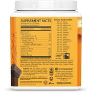 Sunwarrior Classic Plus Protein Chocolate Organic Vegan Protein Powder with BCAA 375g