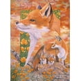 thumbnail image 2 of Stevenson, Graeme 19x24 Black Ornate Wood Framed with Double Matting Museum Art Print Titled - Foxes, 2 of 4