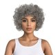 thumbnail image 1 of Peluca corta, rizada, afro, 30 cm, gris, disfraz de cosplay, 180 g, 1 of 3