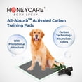 thumbnail image 2 of Almohadillas de adiestramiento para cachorros HONEY CARE All-Absorb, tamaño XL, 28 x 34 cm, 2 of 6