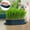 Brown, variant on Cat Grass Planter, Wheat Grass Growing Cup with Removable Tray, Soilless Catnip Growing Box, Seed Sprouting Tray, Cats Dogs Soilless Organic Nursery Box for Indoor, (No Seeds Included)