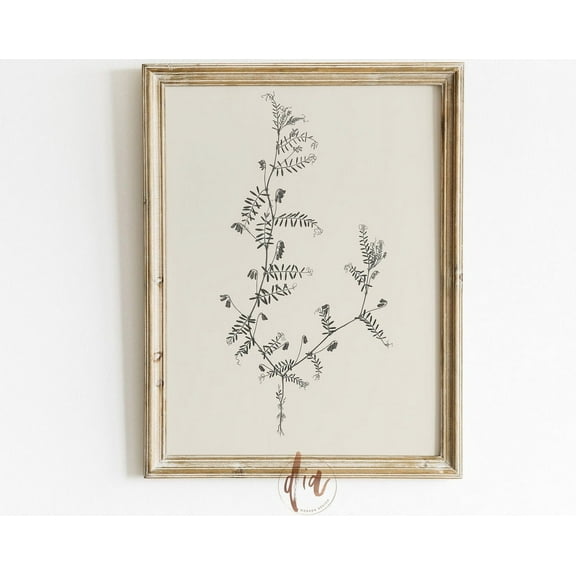 Vintage Botanical Sketch, Antique Leaf Drawing, Minimal Line Art, French Country Decor Prints Wall Art, Modern Wall Decor, 8x12 UNFRAMED
