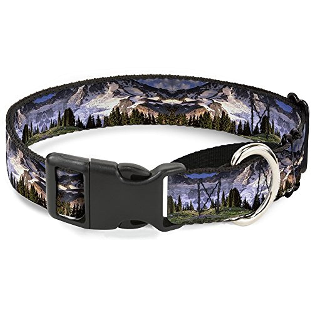 Buckle-Down Washington MT. RAINIER Valley Landscape Martingale Dog Collar