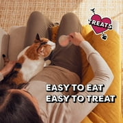 Temptations Lickable Spoons Adult Wet Cat Treat, 10 grams, Variety Pack of 48