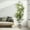 Style 02, variant on ShadeMart 67" Artificial Bamboo Tree, Fake Plants for Home Decor, Natural Wood Trunk, Ideal for Home Office Indoor Decoration - Pot Style 02