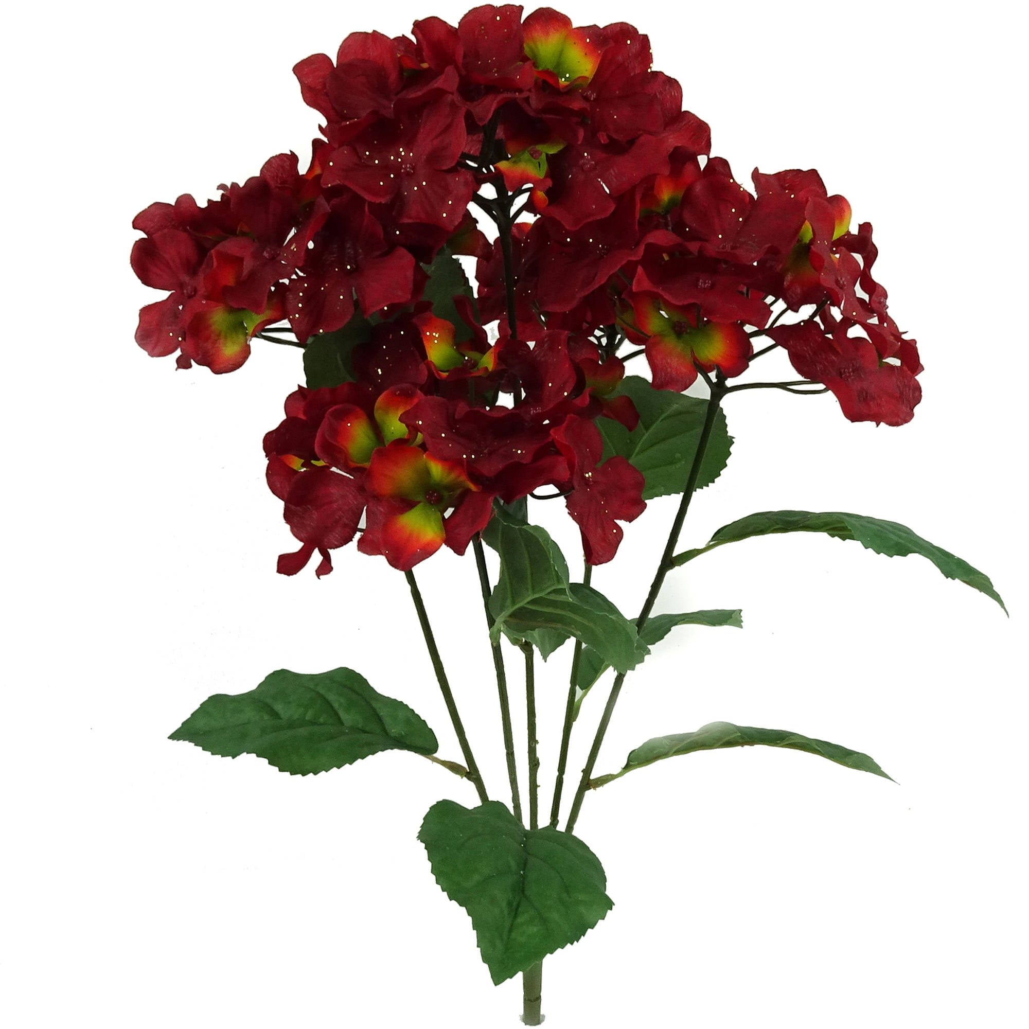 Burgundy Glitter Hydrangea Bush