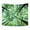 E, variant on JANDEL Forest Starry Tapestry Starry Sky Tapestry Moon and Stars Tapestry Galaxy Tapestry Wall Hanging Forest Tapestry Night Sky Tapestry Wall Tapestry for Dorm Living Room Bedroom