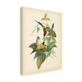 thumbnail image 2 of Trademark Fine Art 'Gould Birds of the Tropics IV' Canvas Art by John Gould, 2 of 4