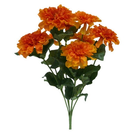 Zinnia Bush Orange