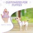thumbnail image 2 of Arnés para perros SlowTon sin tirones con correa para perros pequeños y medianos, 2 of 7