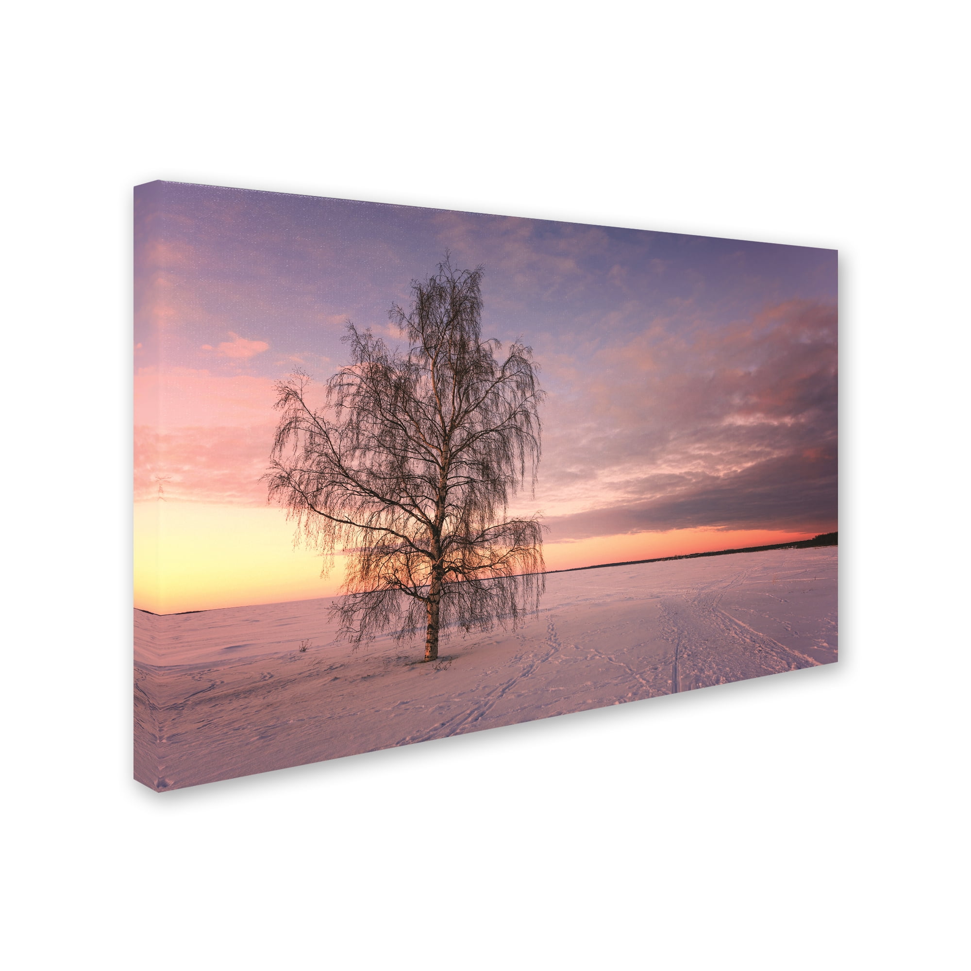Trademark Fine Art 'Majesty of Nature' Canvas Art by Philippe Sainte-Laudy