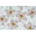 thumbnail image 2 of Jaynes Gallery 18x13 White Modern Wood Framed Museum Art Print Titled - Washington State-Seabeck Montage of flowering cherry blossoms, 2 of 4