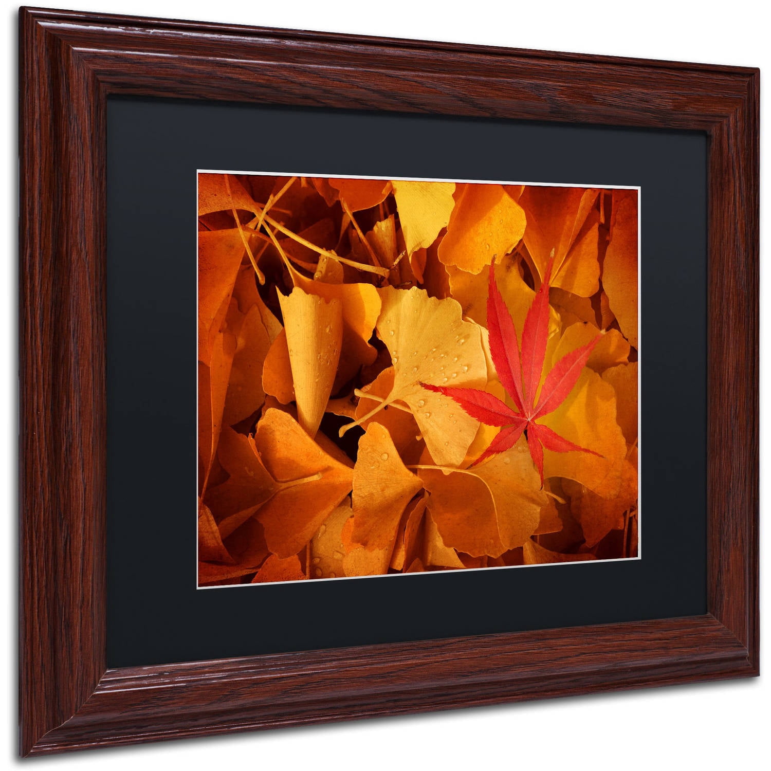 Trademark Fine Art "Lost & Found" Canvas Art by Philippe Sainte-Laudy Black Matte, Wood Frame