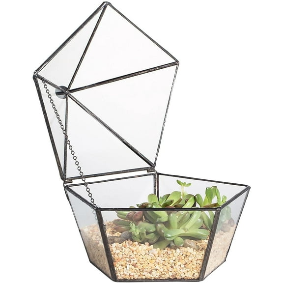 NCYP Modern Clear Glass Jewelry Box with Swing Lid, Geometric Pentagon Shape Terrarium for Succulent Fern, Garden Display Planter Tabletop Decor Centerpiece Container (NO Plants)
