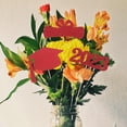 thumbnail image 3 of CRAFTHROU 15pcs Graduation Centerpieces Graduation Picks Red Wooden DIY Decor for Friends and Families, 3 of 5
