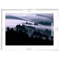 thumbnail image 5 of Art.com Ethereal Fog Flow Through The Trees, California Mount Tamalpais Photographic Print by Vincent James, White Frame Wall Art, 29" x 21", 5 of 5