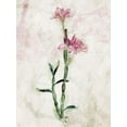 thumbnail image 2 of Villa, Mlli 15x18 White Modern Wood Framed Museum Art Print Titled - Water Flower Mate, 2 of 4