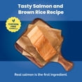 thumbnail image 3 of Blue Buffalo Life Protection Formula, Natural Adult Dry Dog Food, Salmon, 40lb, 3 of 11