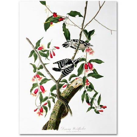 Trademark Fine Art