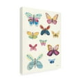 thumbnail image 4 of Trademark Fine Art 'Butterfly Charts I' Canvas Art by Courtney Prahl, 4 of 4