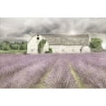 thumbnail image 2 of Great Art Now Shades of Lavender and Gray by Lori Deiter, Framed Wall Art, 31W x 23H, 2 of 2