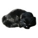 thumbnail image 2 of Ganfancp Juguetes de Simulación Adorno de Gato Simulado X1, 2 of 6