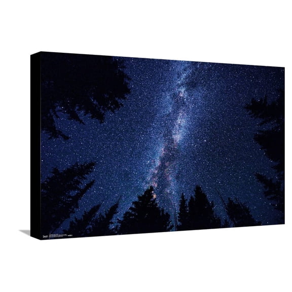 Milky Way At Night Canvas Wall Poster, 14.725" x 22.375"