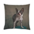 thumbnail image 2 of Ahgly Company Dogs Dogs Coussin d'Intérieur, 18 Pouces par 18 Pouces, 2 of 6