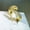 KYRA01649 Gold, variant on Snake Ring Simple Adjustable Open Band For Women In Gold White Gold Rose Gold Alloy Gemstone Geometric Circular Design