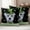 Black, variant on St. Patrick's Day Outdoor Waterproof Pillow Covers, Lucky Shamrock Cute Puppy Hat Green Plaid Decorative Square Throw Pillowcase Sofa Cushion Sham for Patio/Couch/Chair, 16"x16" 2 Pack