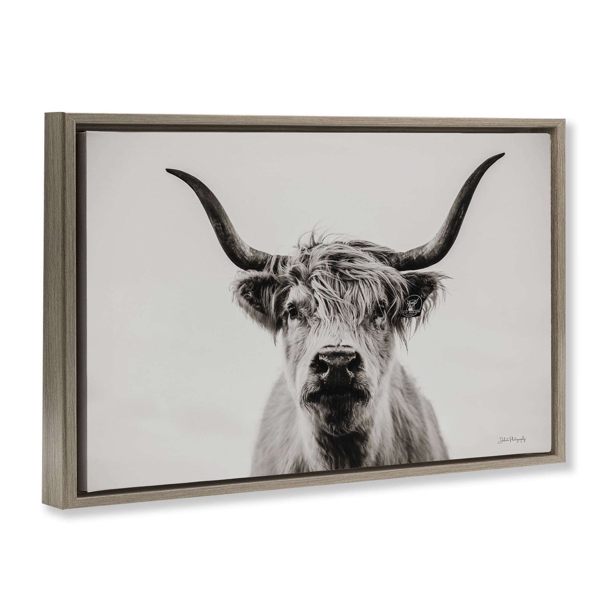Stupell Industries Calm Cattle Portrait Animals & Insects Photography Brown Floater Framed Canvas Art Print Wall Art, 31 x 21