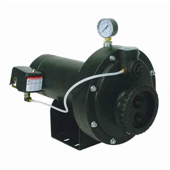 Dayton Convertible Jet Pump, Plastic, 1/2 HP 4HEZ4