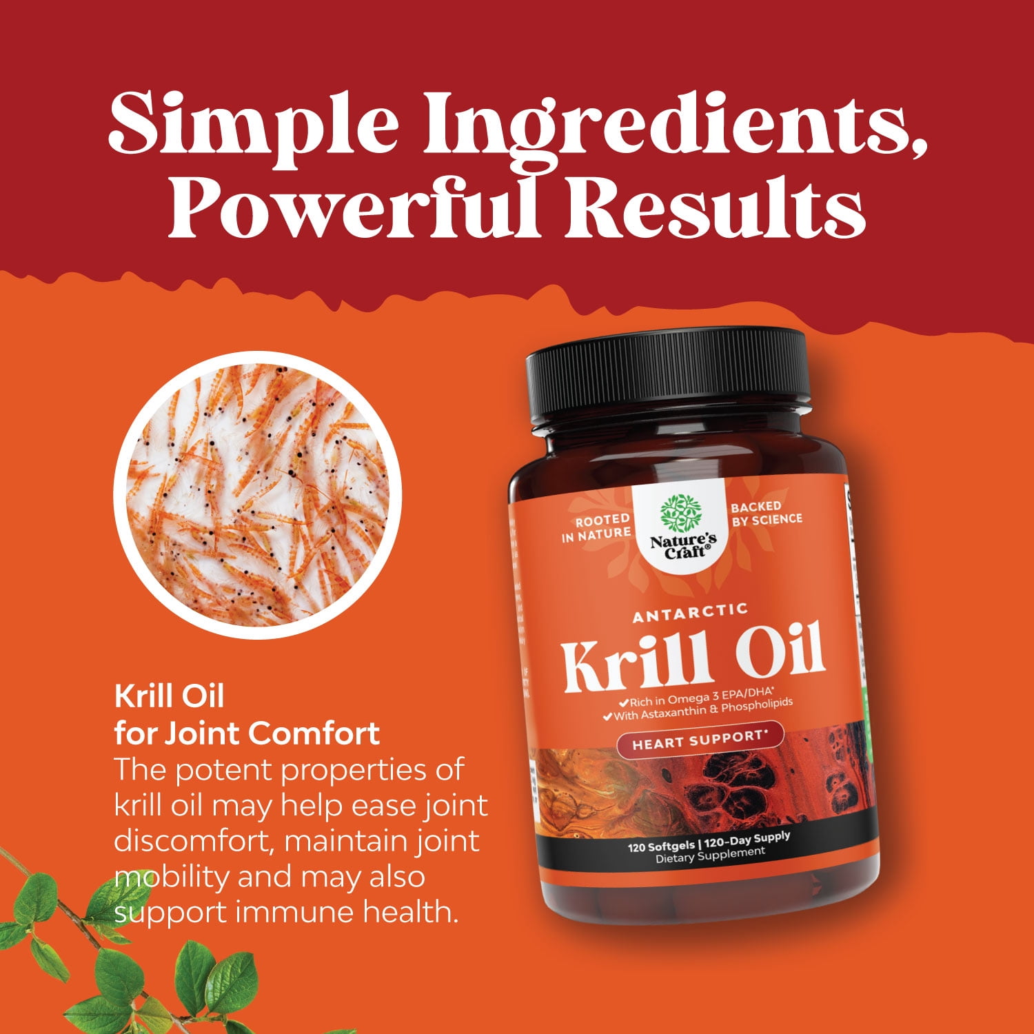 Natures Craft Antarctic Krill Oil 500mg Softgels, High Absorption Omega 3 Supplement, Bone & Joint Health, 120 Count