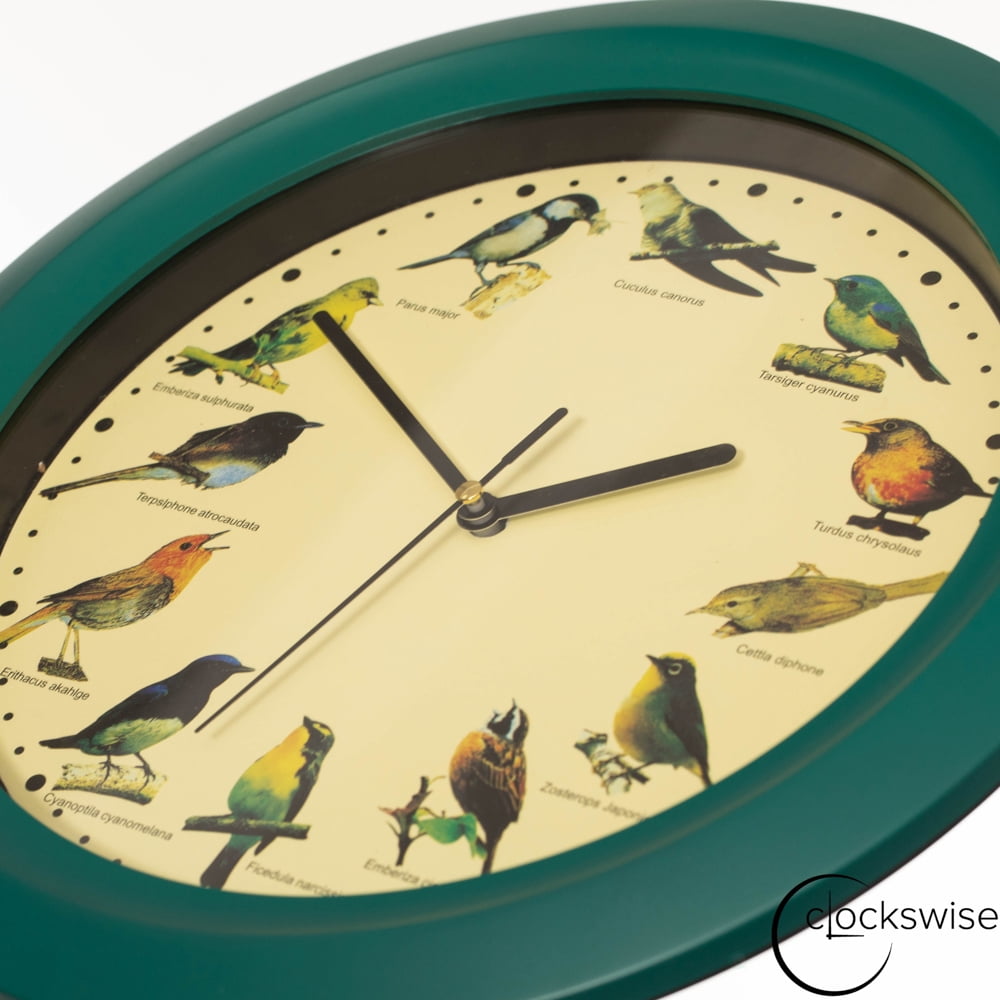 Clockswise 12" Round Decorative Singing Bird Wall Clock Battery-Operated with Wild Nature Sounds Hourly Chime and Non-Ticking for Home Office Kitchen Dining Bedroom Classroom and Living Spaces, Green
