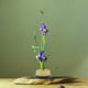 thumbnail image 2 of Samfox Ikebana Kenzan, Arreglo de Sostenedor de Flores Redondo Ikebana Kenzan Flower Herramienta de Disposición Fija para La Decoración de La Oficina En El Hogar(#1), 2 of 5