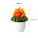 thumbnail image 3 of Flores artificiales, bonsáis artificiales en maceta, macetas de plástico para sala de estar, comedor, mesa de TV, mueble de centro, decoración, adornos, flores artificiales, bonsáis, plantas, 3 of 9