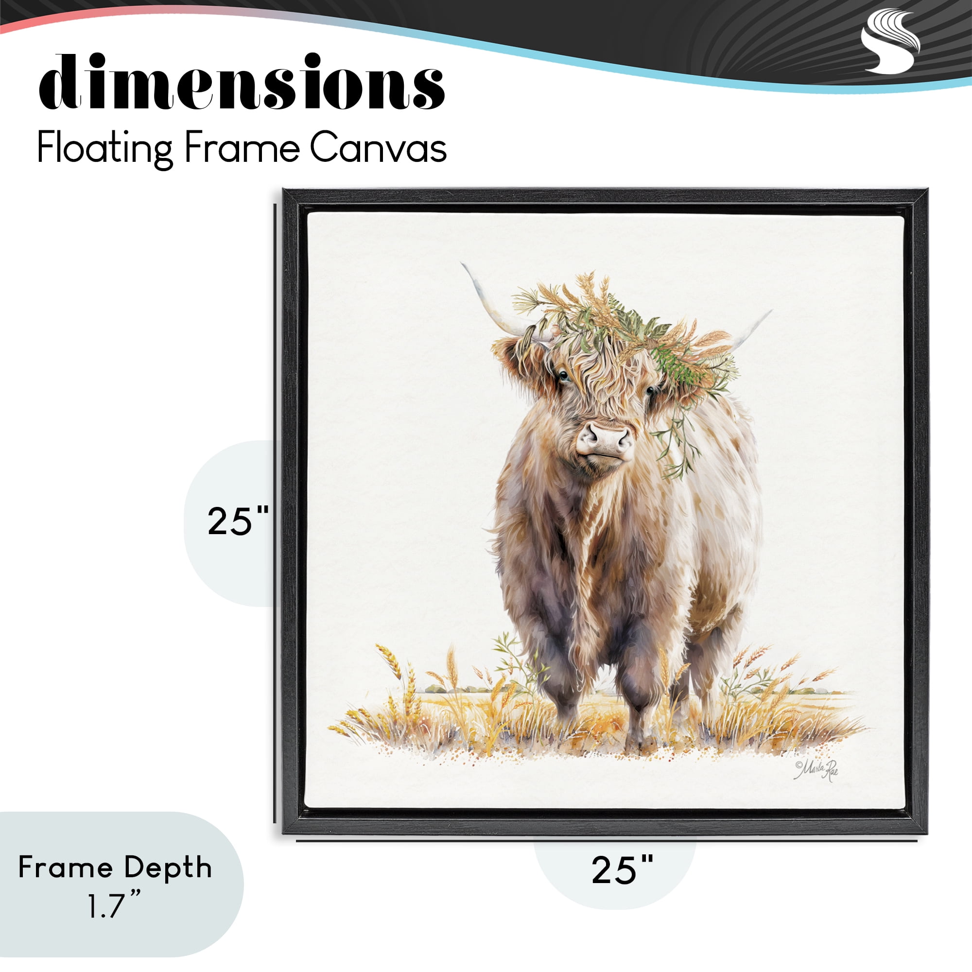 Stupell Industries Ollie the Highland Cattle Black Framed Floater Canvas Wall Art, design by Marla Rae