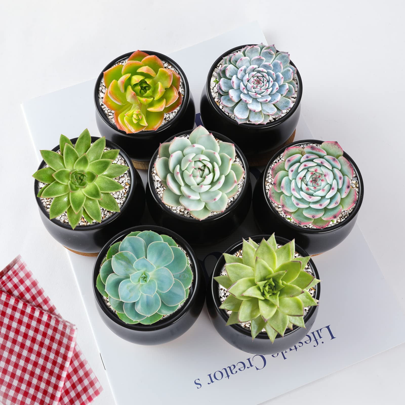 2 Pack Mini Ceramic Succulent Pots 2.5 Inch with Drainage Hole, Small Flower or Cactus Planters for Indoor Gardening