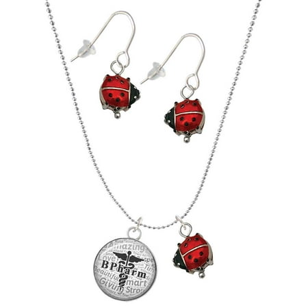 Delight Jewelry Silvertone Domed Black B Pharm Red Lucky Ladybug Necklace and Dangle Earrings Set