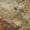 Walnut, variant on Addison Rugs Mayfield Premium Machine Washable Transitional Abstract Walnut Rectangle Rug, 10' x 14'